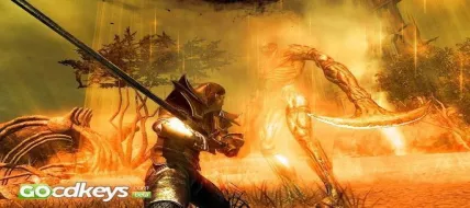 Divinity II: The Dragon Knight Saga  thumbnail