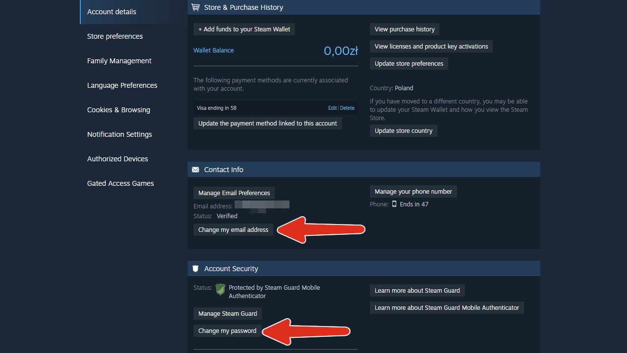 Impostazioni dell'account Steam con cambio email e password evidenziati