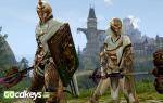 archeage-gold-founders-pack-pc-cd-key-4.jpg