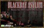 blackbay-asylum-pc-cd-key-4.jpg