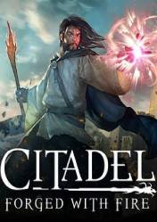 Citadel forged with fire читы